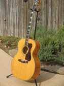 Guild F50