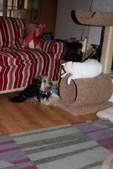 Enlarge photo 14