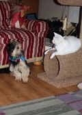 Enlarge photo 13