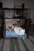 Enlarge photo 16