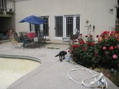 Summer 2009