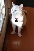 Enlarge photo 3