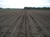 Enlarge photo 27