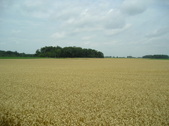 Enlarge photo 1