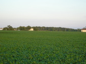 Enlarge photo 25