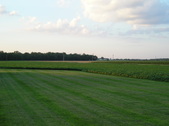 Enlarge photo 32