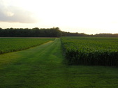 Enlarge photo 35