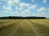 Enlarge photo 36