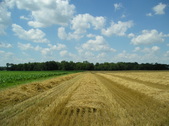 Enlarge photo 37