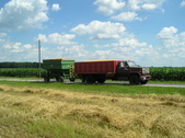 Enlarge photo 39