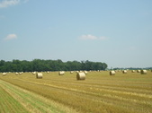 Enlarge photo 40