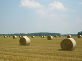 Enlarge photo 41