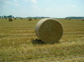 Enlarge photo 43
