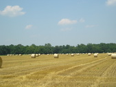 Enlarge photo 44