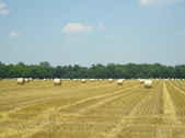 Enlarge photo 45