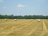 Enlarge photo 46