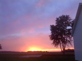 Enlarge photo 41
