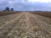 Enlarge photo 43
