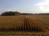 Enlarge photo 51