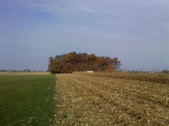 Enlarge photo 53