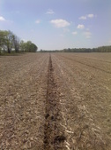 Enlarge photo 38