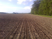 Enlarge photo 41