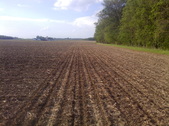Enlarge photo 42