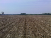 Enlarge photo 43