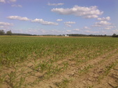 Enlarge photo 53