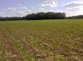 Enlarge photo 56