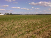 Enlarge photo 57