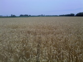 Enlarge photo 73