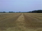 Enlarge photo 76