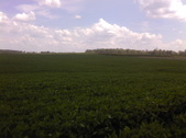 Enlarge photo 82
