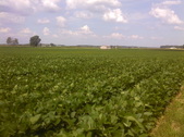 Enlarge photo 85