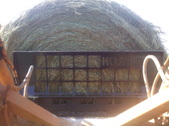 Enlarge photo 87