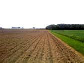 Enlarge photo 131