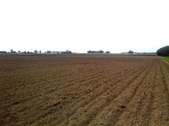 Enlarge photo 132