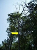 Enlarge photo 139