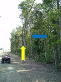 Enlarge photo 141