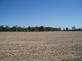 Enlarge photo 164