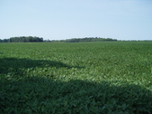 Enlarge photo 93