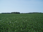 Enlarge photo 94