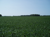 Enlarge photo 96