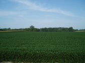 Enlarge photo 90