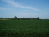 Enlarge photo 91