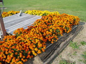 Enlarge photo 98