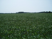 Enlarge photo 123