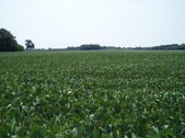 Enlarge photo 124