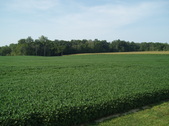 Enlarge photo 103